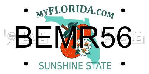 BEMR56 Florida License Plate