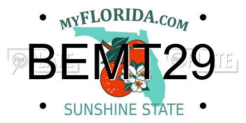 BEMT29 Florida License Plate