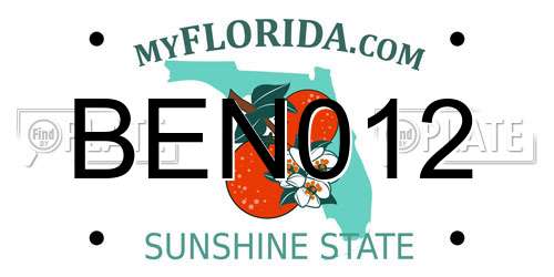 BEN012 Florida License Plate