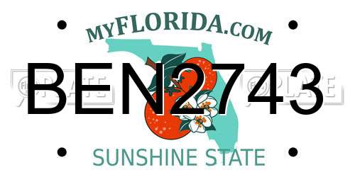 BEN2743 Florida License Plate