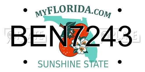 BEN7243 Florida License Plate