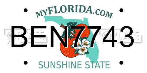 BEN7743 Florida License Plate