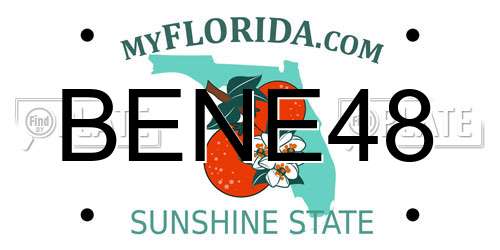 BENE48 Florida License Plate
