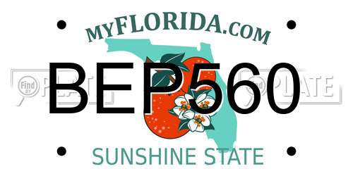 BEP560 Florida License Plate