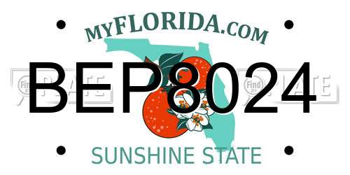 BEP8024 Florida License Plate