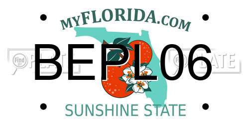 BEPL06 Florida License Plate