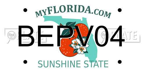 BEPV04 Florida License Plate