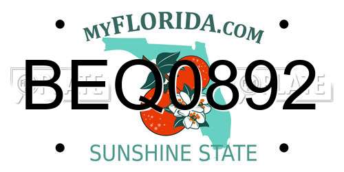 BEQ0892 Florida License Plate