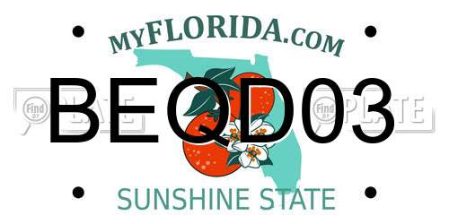 BEQD03 Florida License Plate