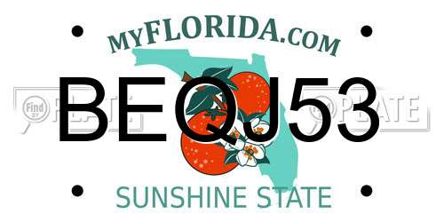 BEQJ53 Florida License Plate