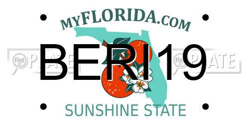 BERI19 Florida License Plate