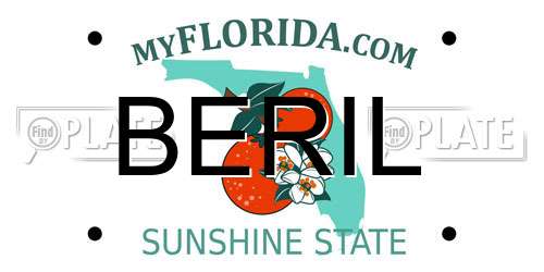 BERIL Florida License Plate