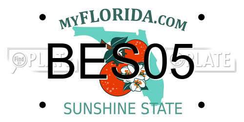 BES05 Florida License Plate