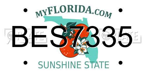 BES7335 Florida License Plate