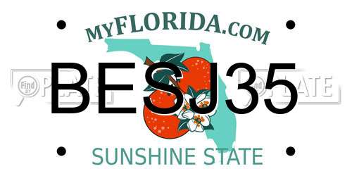 BESJ35 Florida License Plate