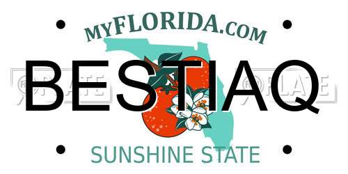 BESTIAQ Florida License Plate