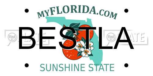 BESTLA Florida License Plate