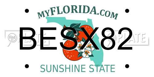 BESX82 Florida License Plate