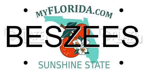BESZEES Florida License Plate