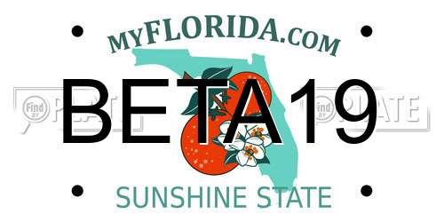 BETA19 Florida License Plate