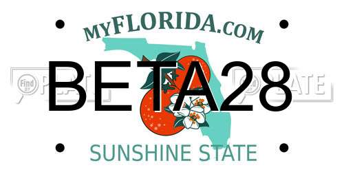 BETA28 Florida License Plate