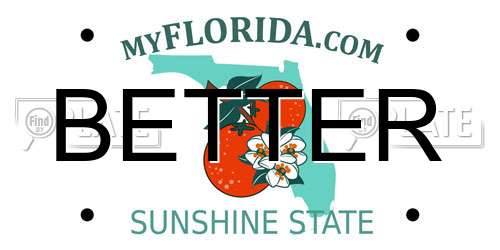 BETTER Florida License Plate