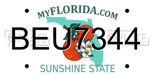 BEU7344 Florida License Plate