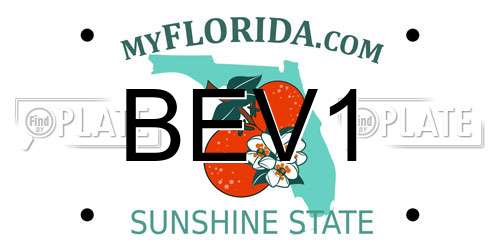 BEV1 Florida License Plate
