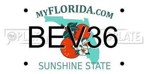 BEV36 Florida License Plate