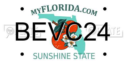 BEVC24 Florida License Plate