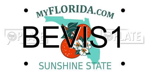 BEVIS1 Florida License Plate