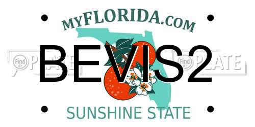 BEVIS2 Florida License Plate