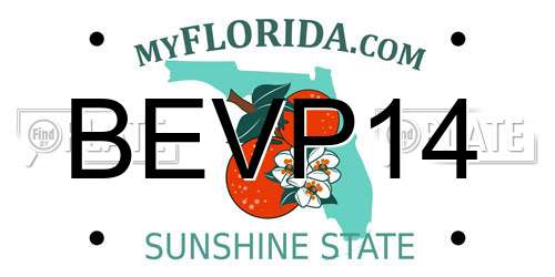 BEVP14 Florida License Plate