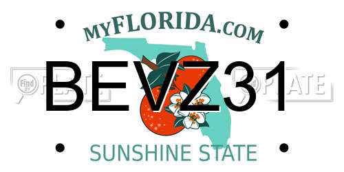 BEVZ31 Florida License Plate