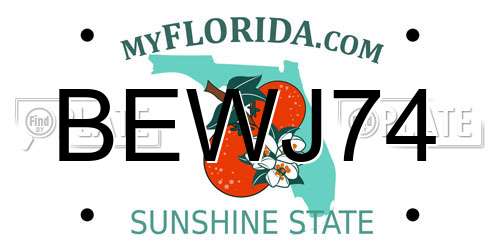 BEWJ74 Florida License Plate
