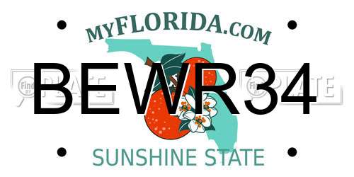 BEWR34 Florida License Plate