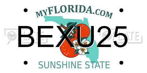 BEXU25 Florida License Plate