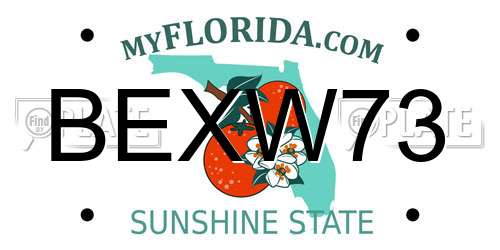BEXW73 Florida License Plate