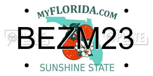 BEZM23 Florida License Plate