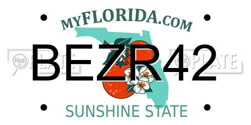 BEZR42 Florida License Plate