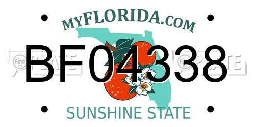 BF04338 Florida License Plate