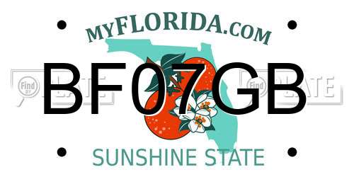 BF07GB Florida License Plate