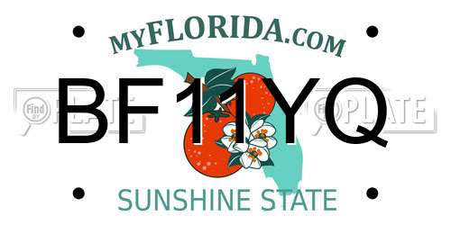 BF11YQ Florida License Plate