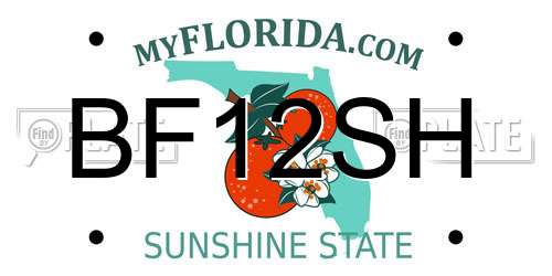 BF12SH Florida License Plate