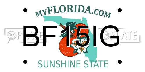 BF15IG Florida License Plate