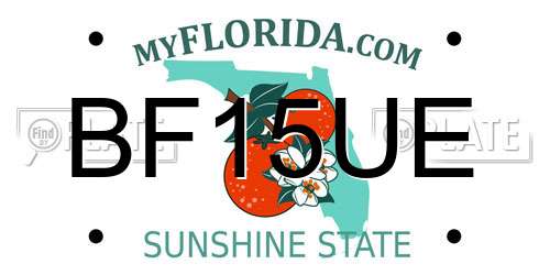 BF15UE Florida License Plate