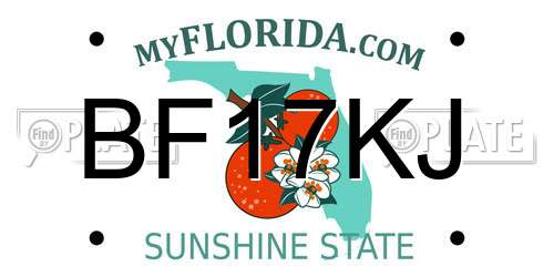 BF17KJ Florida License Plate