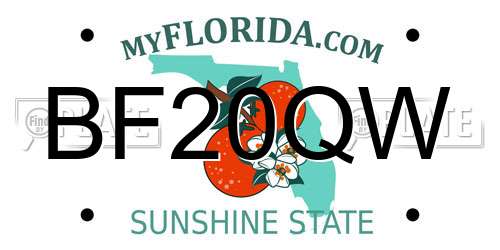 BF20QW Florida License Plate
