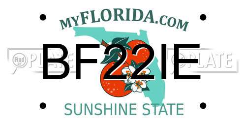 BF22IE Florida License Plate