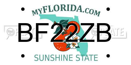 BF22ZB Florida License Plate
